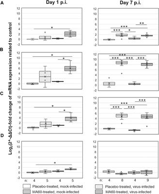 Correlation of bioactive marker compounds of an orally applied Morus alba root bark extract with toxicity and efficacy in BALB/c mice